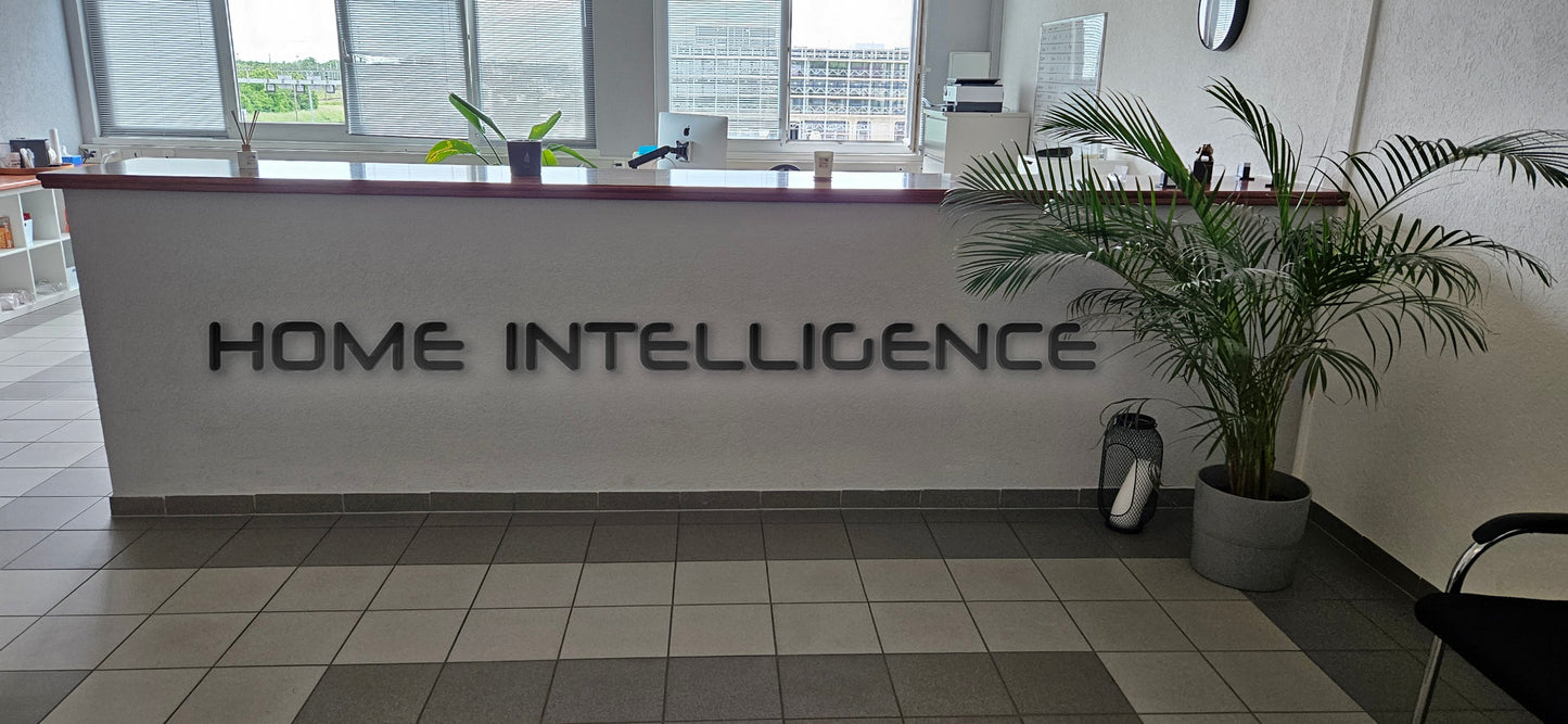 Neon "Home intelligence"