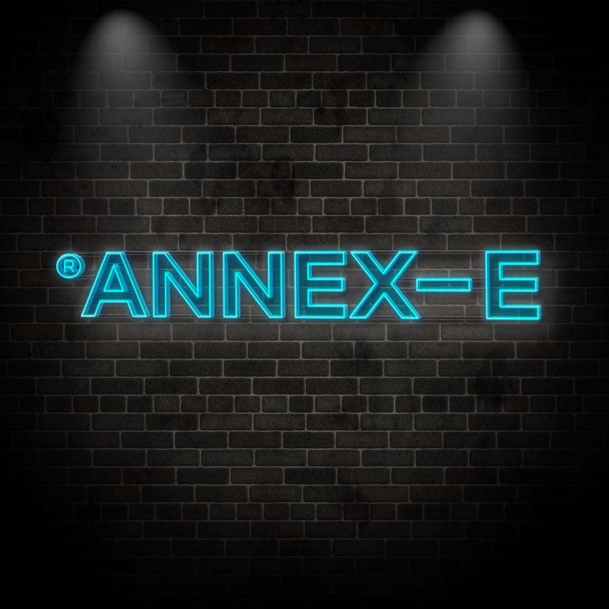 Neon "ANNEX-E"