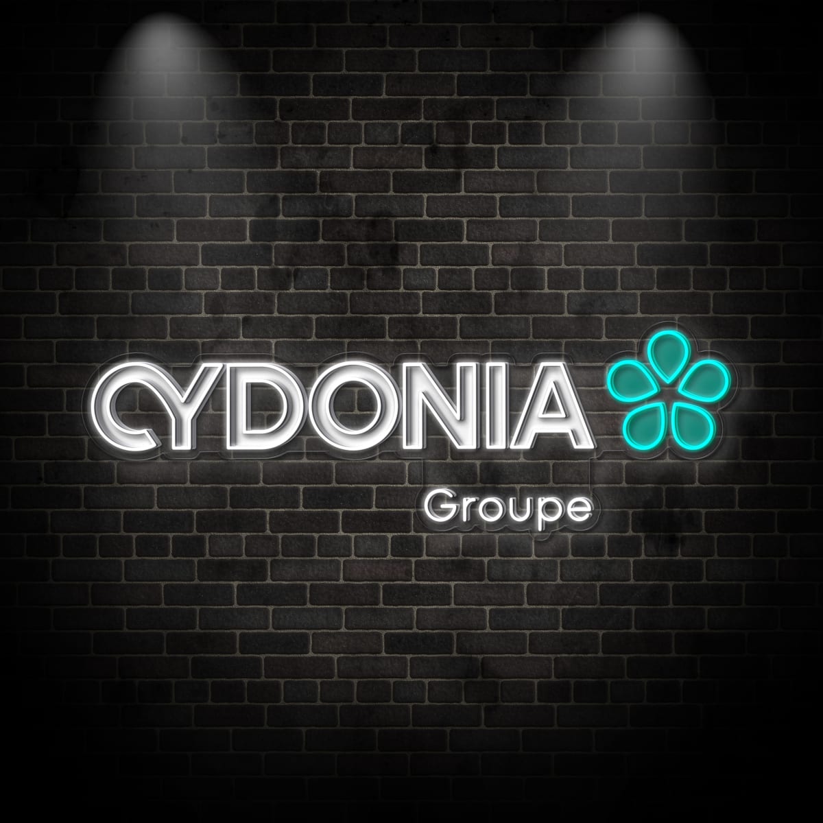 Neon "CYDONIA"
