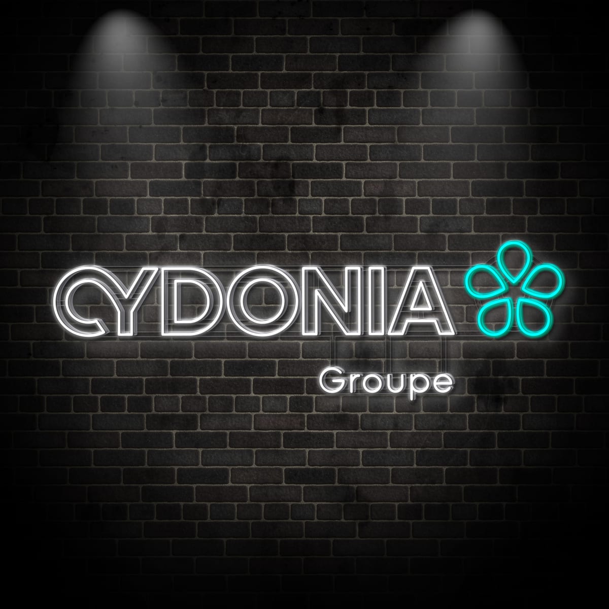 Neon "CYDONIA"