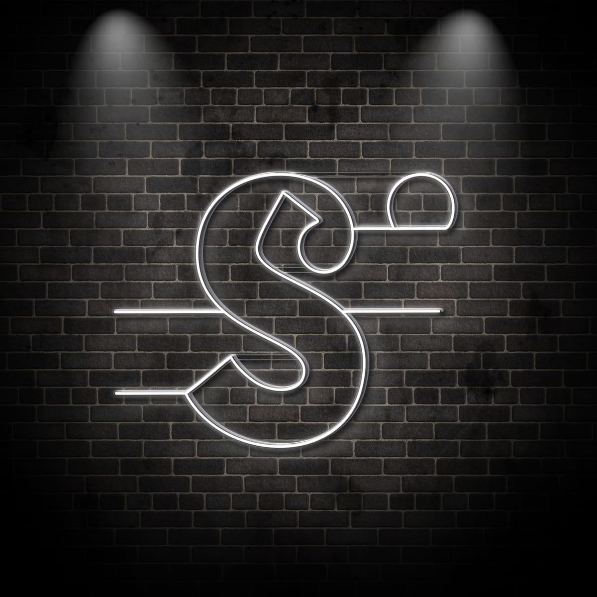 Neon "S"