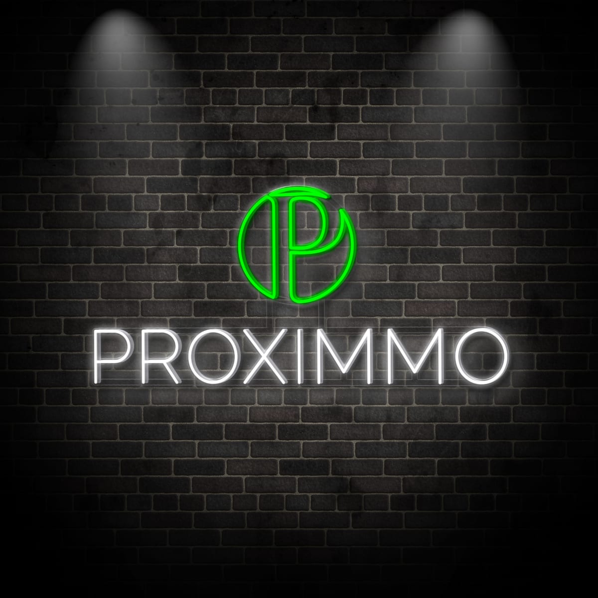 Neon "P PROXIMMO 2"