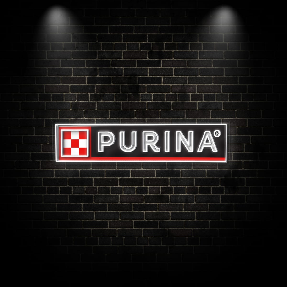 Neon "PUTINA"