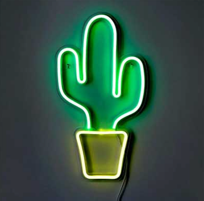 Dark Slate Gray Les néons plantes