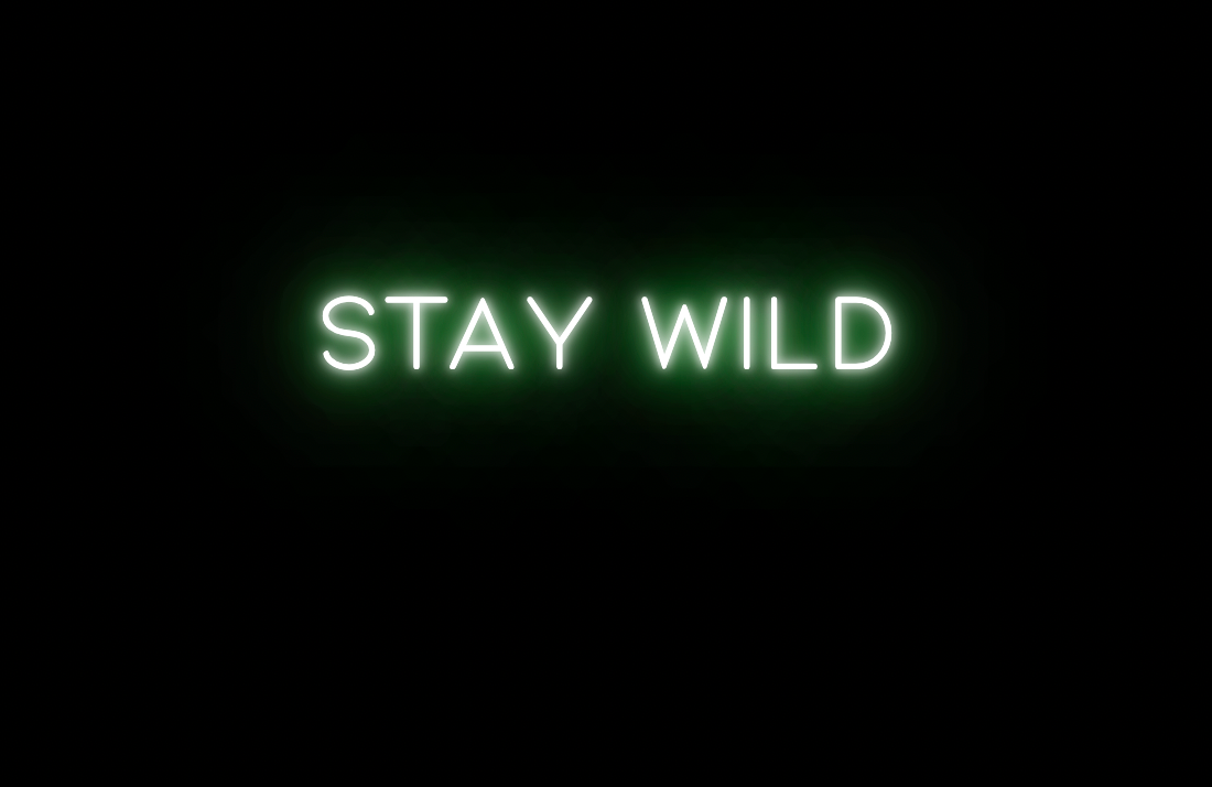 Black Stay Wild