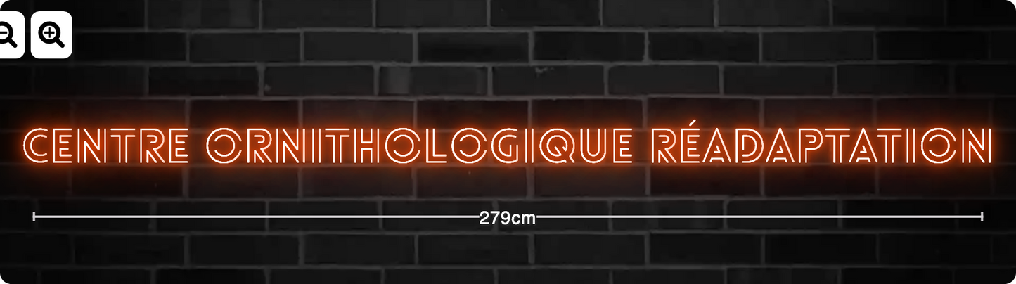 Neon Centre Ornithologique Réadaptation