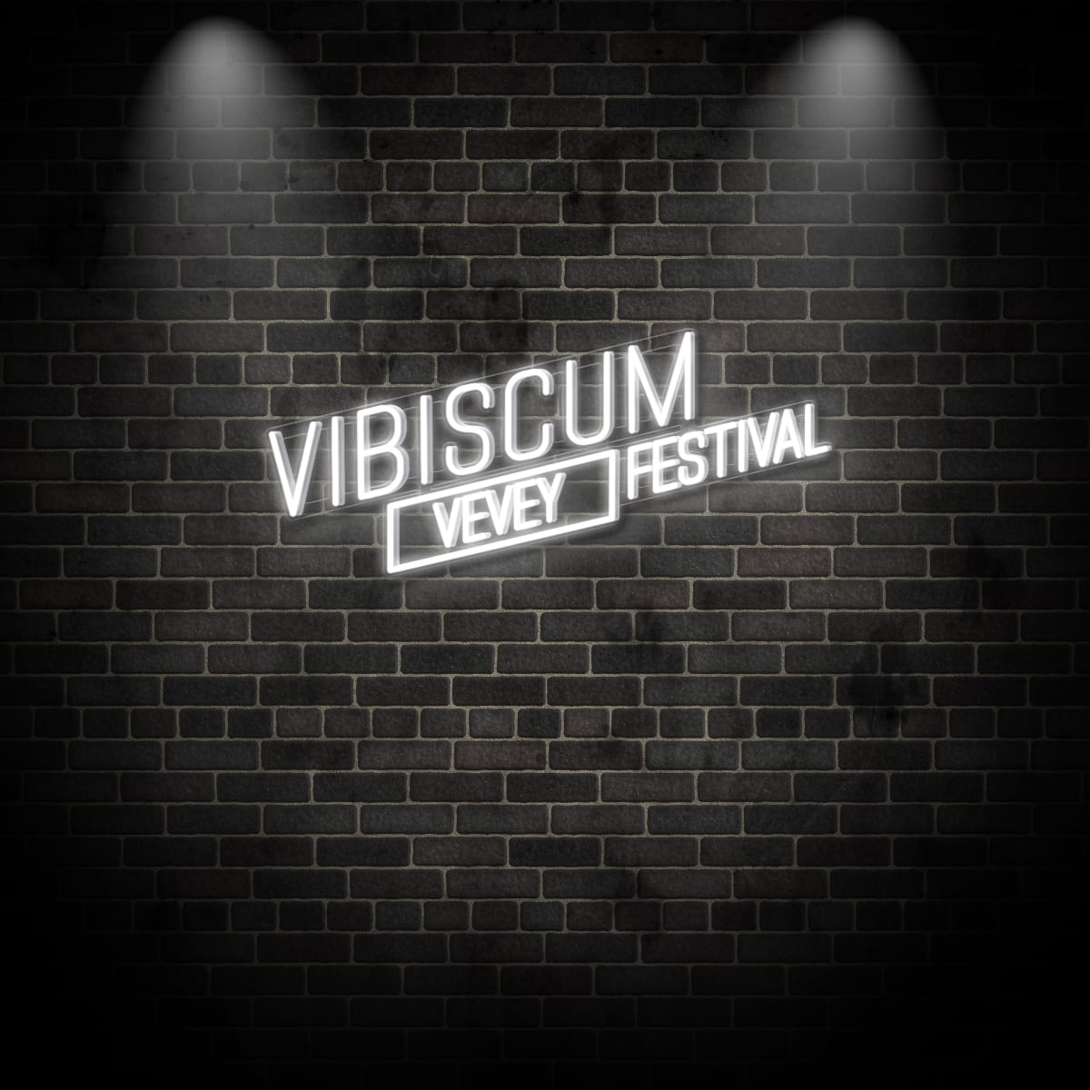 Neon "VIBISCUM VEVEY FESTIVAL"