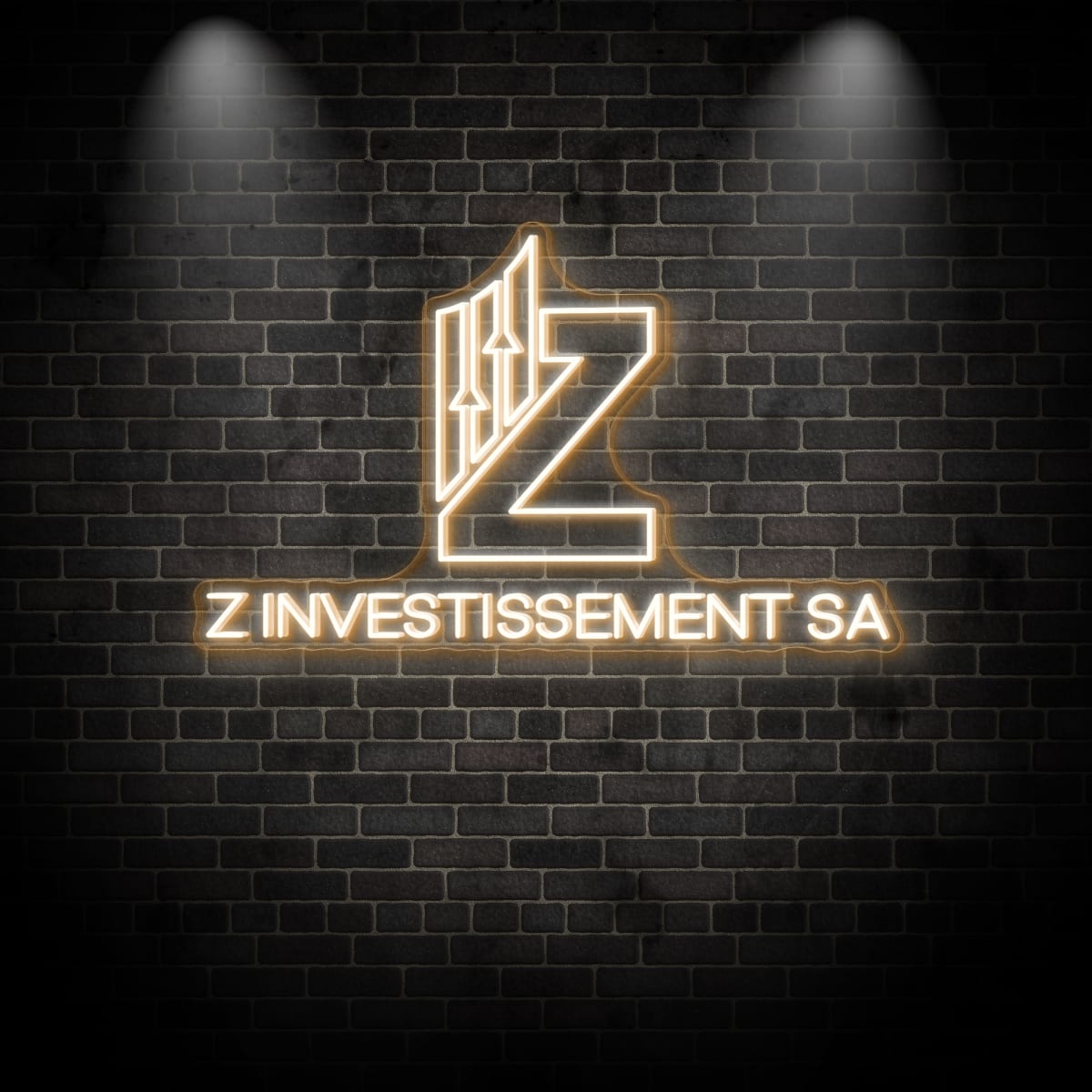 Neon "Z INVESTISSEMENT SA"