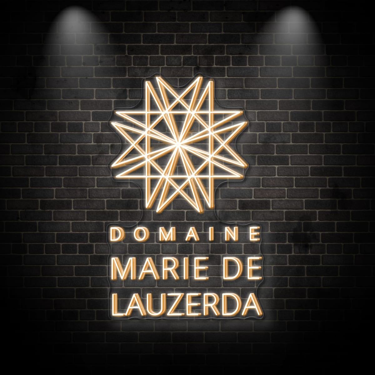 Neon "DOMAINE"