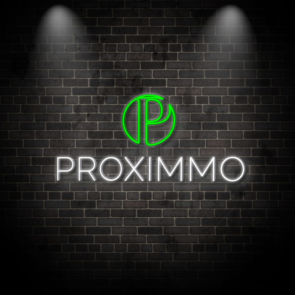 Neon "P PROXIMMO"