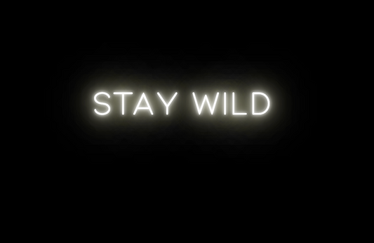 Black Stay Wild