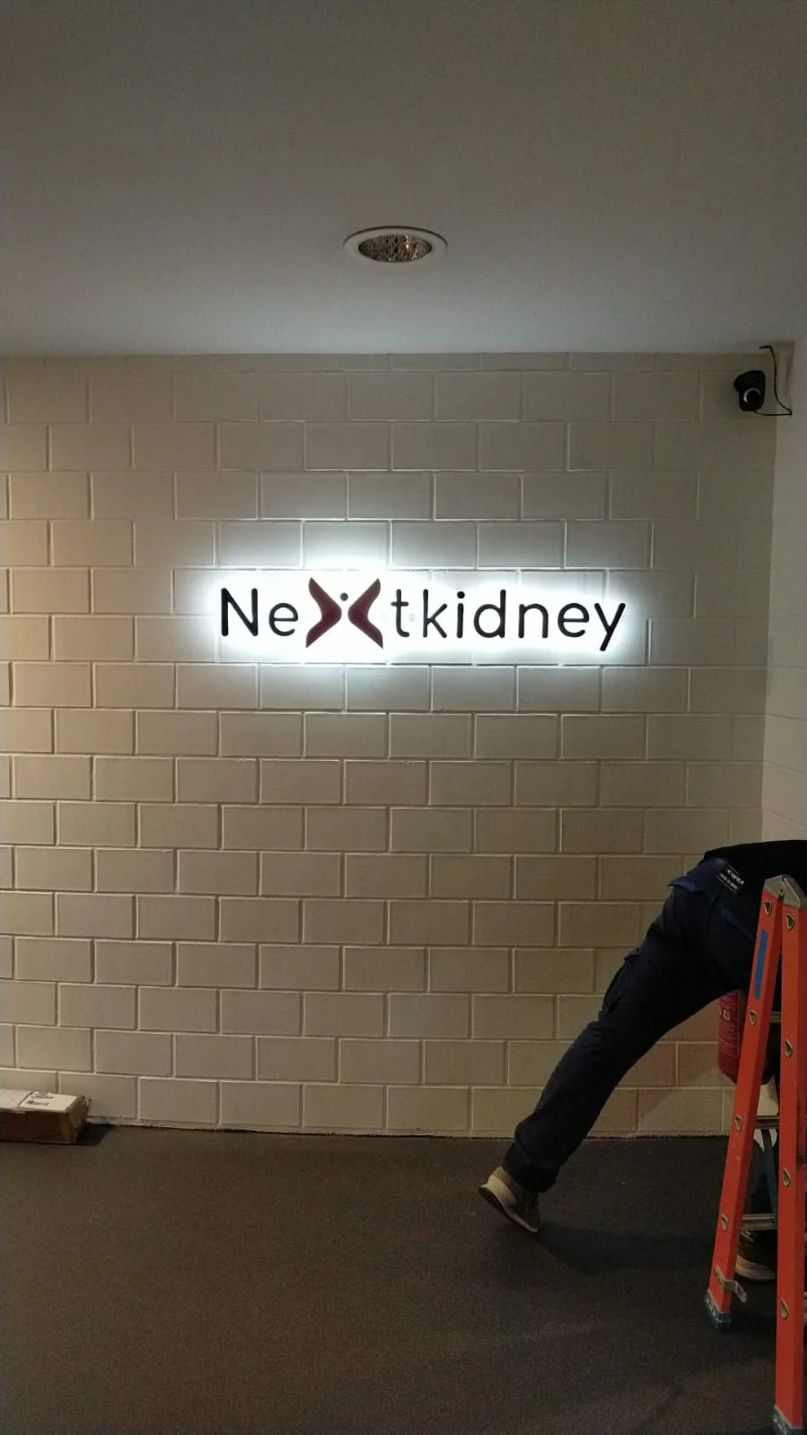 Installer beside a ladder during installation of the Nextkidney sign on a white wall, with a horizontal rail visible behind the composition.